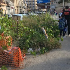 pericolo su via Murge, davanti alla scuola "Rodari"