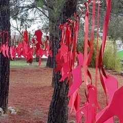 Basta alla violenza contro le donne