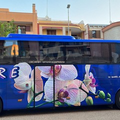 pullman partiti questa mattina alla volta della Capitale