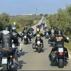 Raduno Harley Davidson