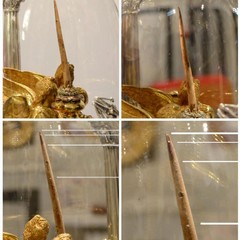 Sacra Spina di Andria