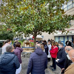 Inaugurato un presepe artistico in piazza Cappuccini