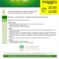 locandina