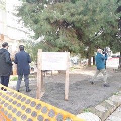 WhatsApp Image at