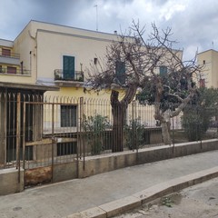 Bonifica area verde pubblico via Eritrea Andria