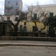 Bonifica area verde pubblico via Eritrea Andria