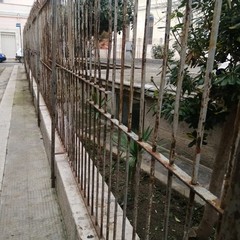 Bonifica area verde pubblico via Eritrea Andria