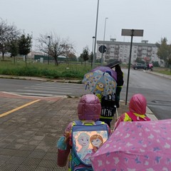 Servizio pedibus Andria