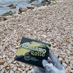 3place lungomare Mongelli Trani