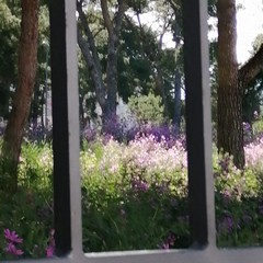 Pineta di Andria