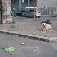 WhatsApp Image at
