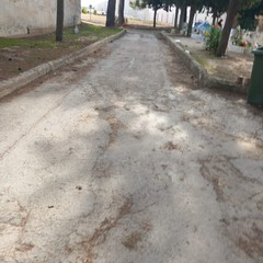 Cimitero di Andria