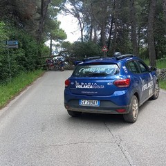 Caduti due alberi sulla sp234 che collega al Castel del Monte