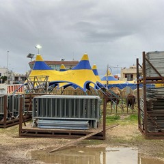 Circo danvati all'istituto Archimede in via vecchia Barletta - Andria