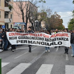 Ad Andria una piazza contro la crisi e il carovita