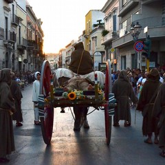 Corteo storico di Sant'Antonio