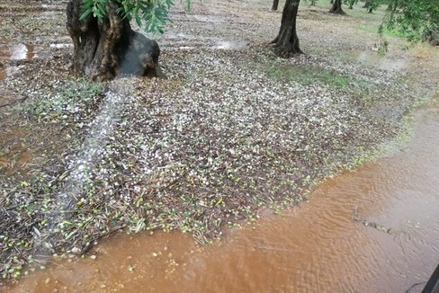 grandinata