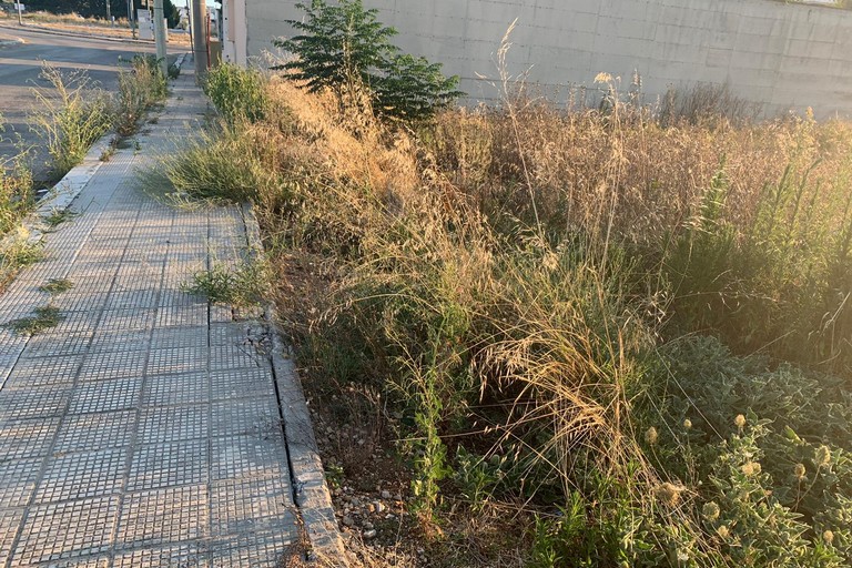 degrado e rifiuti abbandonati nella zona PIP di Andria