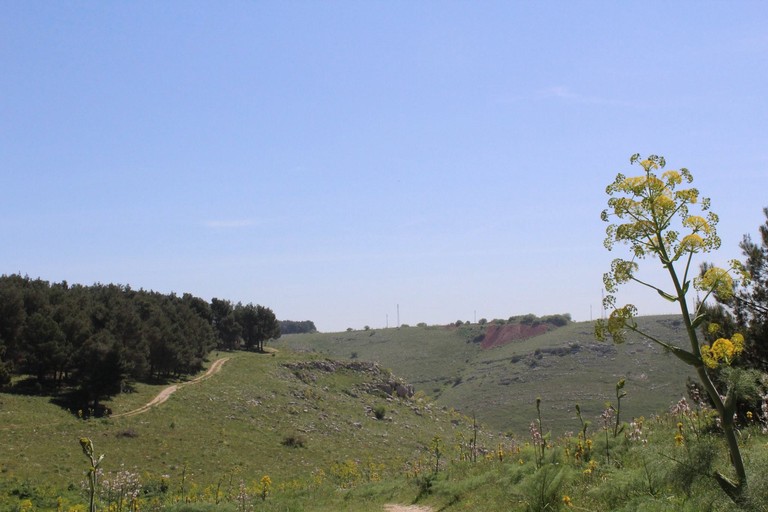 Parco Nazionale dell'Alta Murgia