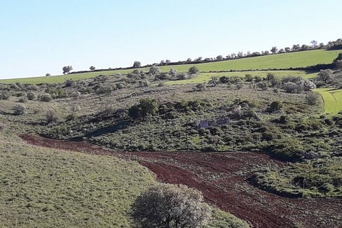 Murgia