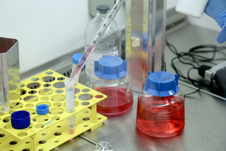 esami medico scientifici