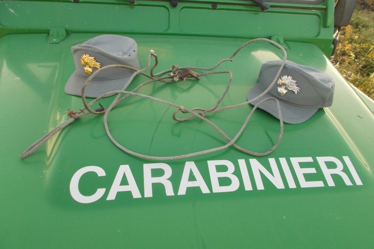 Carabinieri forestali