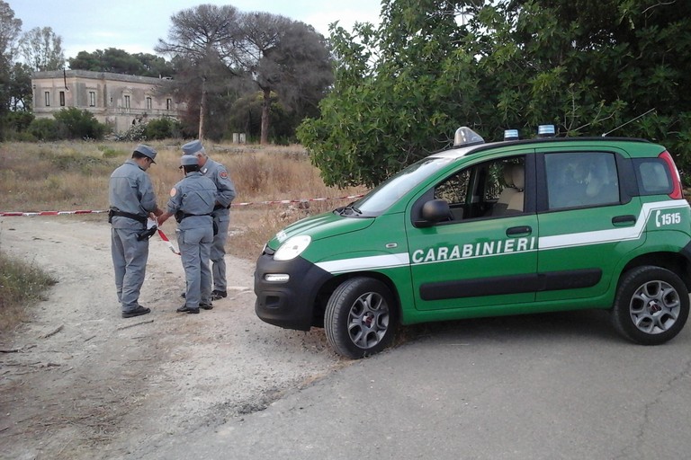Carabinieri forestali