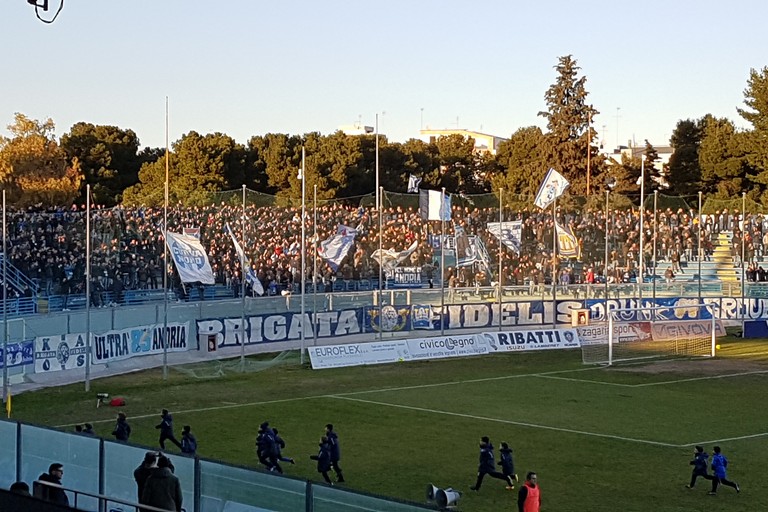 Fidelis andria