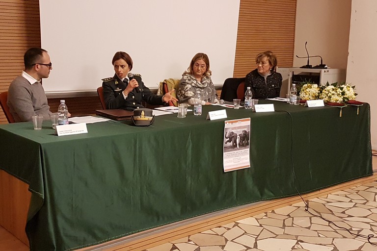 Convegno