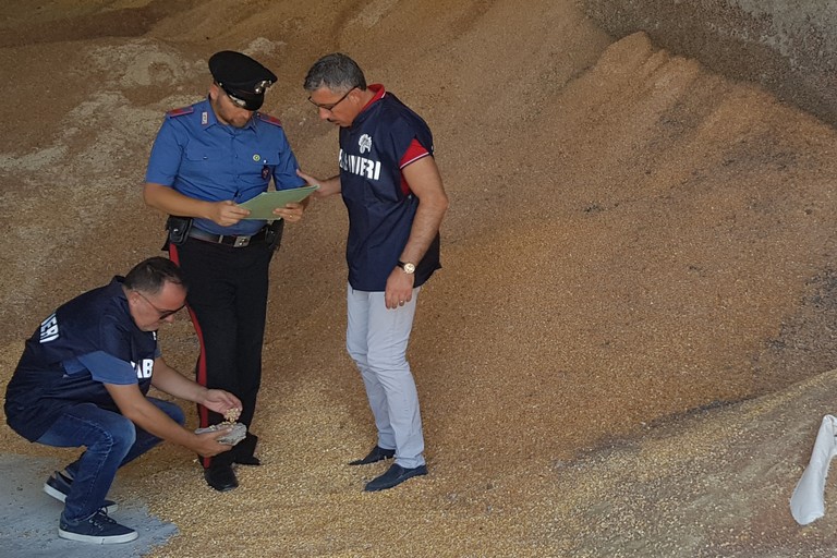 carabinieri forestali