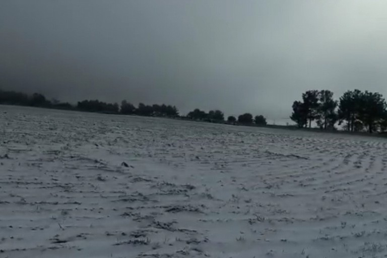 La neve imbianca la Murgia