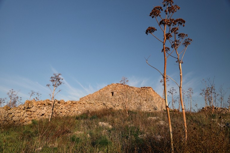 Murgia