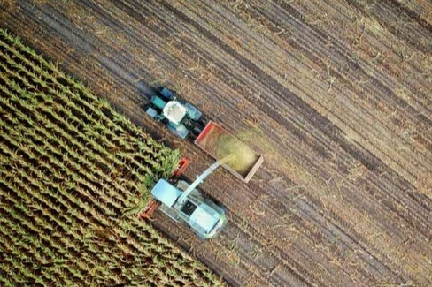 Agricoltura