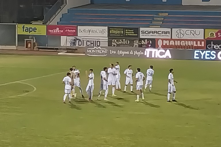 Fidelis Andria-Manfredonia 1-1