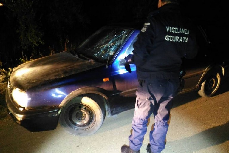Vigilanza giurata