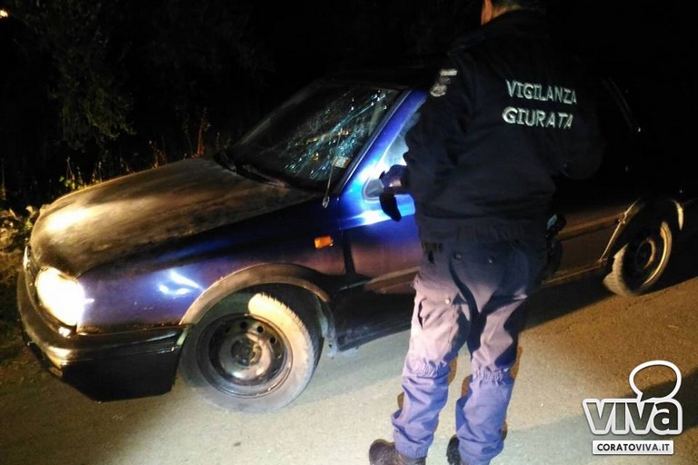 Vigilanza giurata
