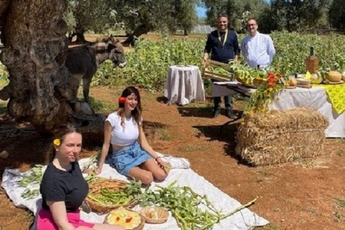 agriturismo