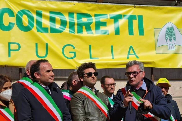 Cesareo Troia