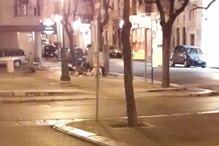 degrado in via Annunziata