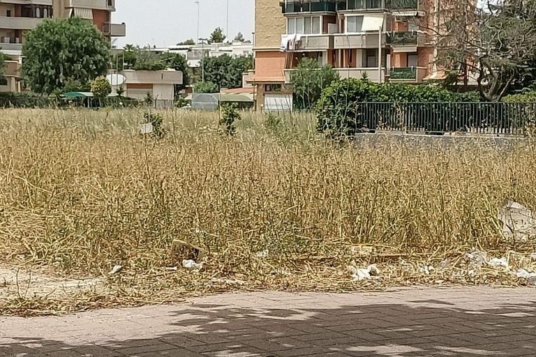 Verde pubblico ad Andria: erba alta e secca con serio rischio incendi