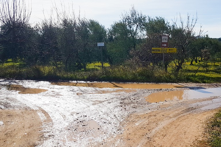 Un gesto di buon senso per raggiungere la Masseria “Senza Sbarre”. <span>Foto Riccardo Di Pietro</span>