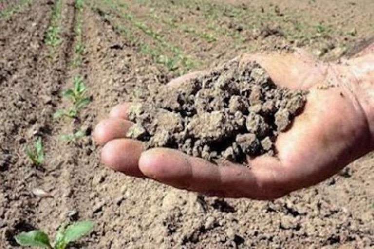 scarsa acqua in agricoltura