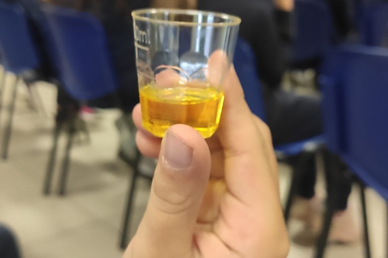 bambini della scuola primaria