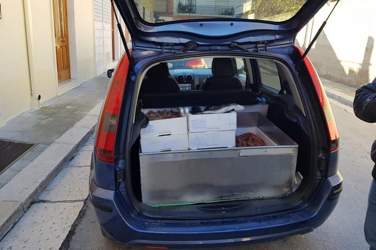 pesce venduto per strada da venditore abusivo