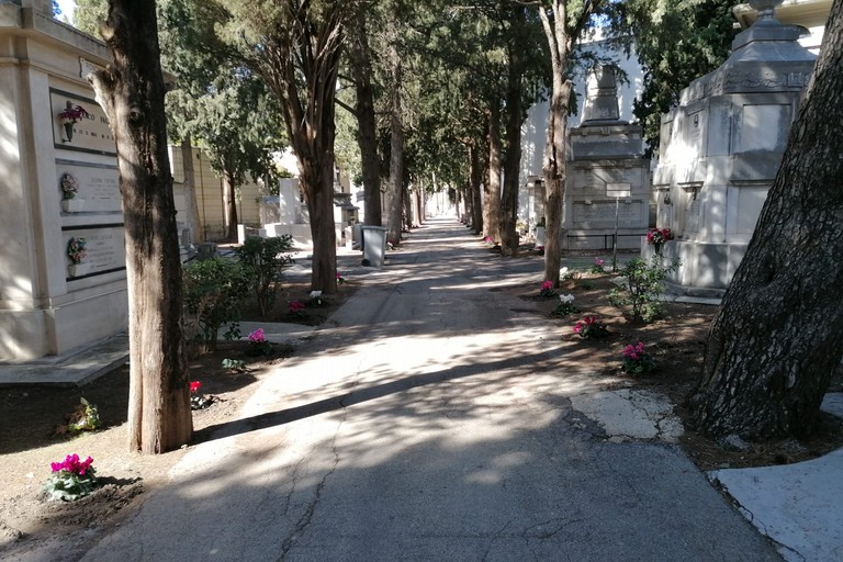 cimitero