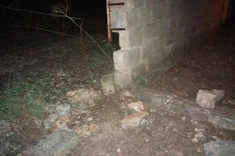 Tentativo di furto sventato dai vigilanti dell'IVRI