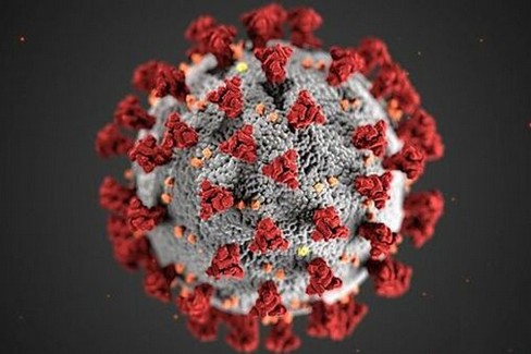 coronavirus