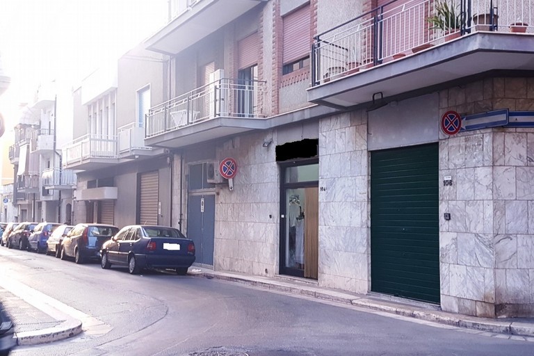 Larga è la foglia stretta è  la via…... <span>Foto Riccardo Di Pietro</span>