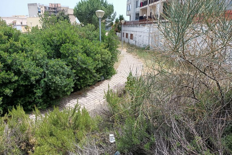 Verde pubblico ad Andria: erba alta e secca con serio rischio incendi