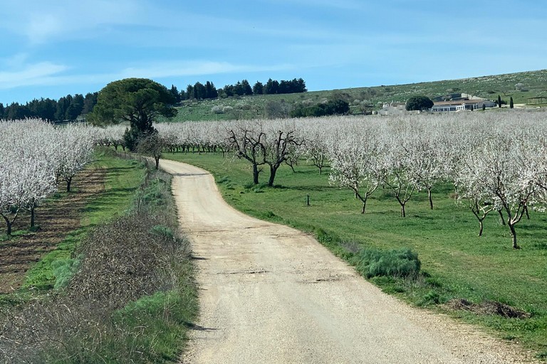 campagna pugliese